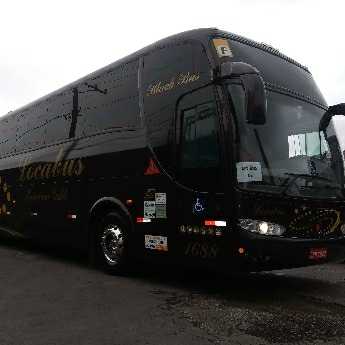 André Soares Ribeiro